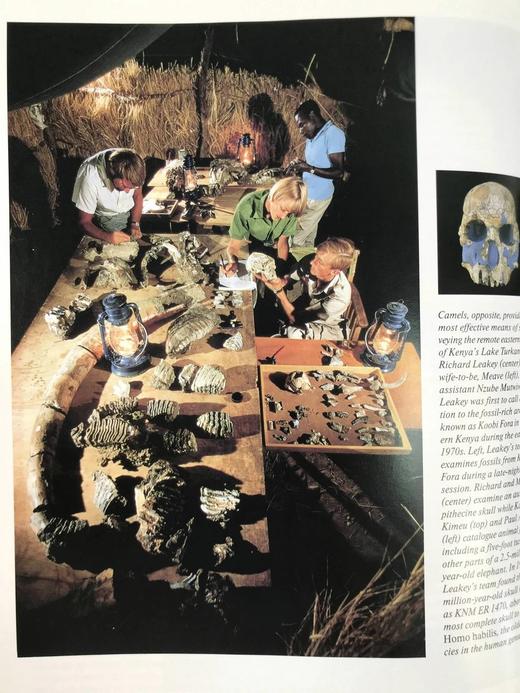 人类时代 数百幅插图 精装16开 商品图13