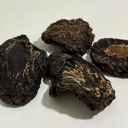 二象限油性肉苁蓉 野放种植 来自苍天般阿拉善（两年以上的品质） 商品图1