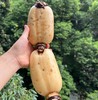 【人工现挖较慢需等待】生态莲藕（基地直发-申通包邮）| 多种规格，来自四川遂宁，生产者：廖勇【合作生产，公平贸易】 商品缩略图3