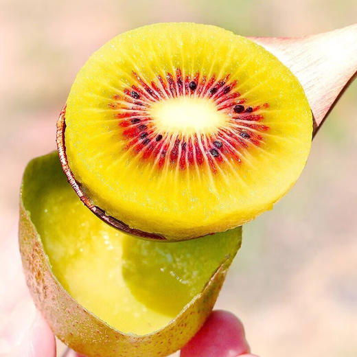 【拼团4.8元/盒】新鲜猕猴桃1盒 (重约500克)【当天可提货】 商品图13