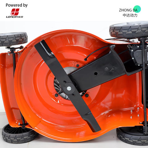 隆鑫动力 CJ21寸钢 自走 商品图5