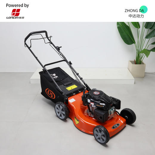 隆鑫动力 CJ21寸钢 自走 商品图0