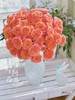 果汁系列多头玫瑰【不是夏日限定，是来日方长】简小姐精选新品 果汁多头玫瑰 10枝 2件包邮 顺丰空运直发 商品缩略图7
