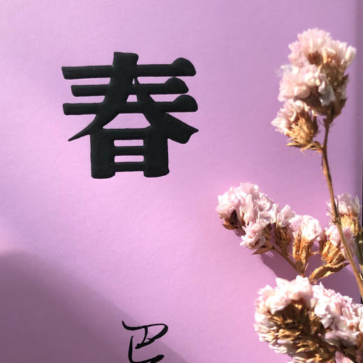 激流三部曲 家春秋 巴金  精装共3册全文无删减 商品图7