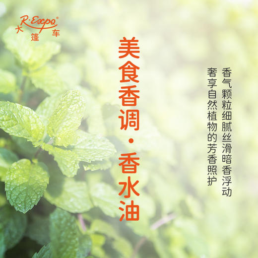 美食香调香水油 植物精油香氛 适用护体香 护手油 润发丝 大篷车精油 商品图2