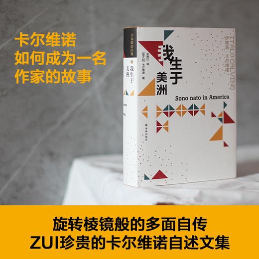 我生于美洲（101次访谈全收录，真正的“卡尔维诺百科全书”，简体中文版初面世！） 商品图2