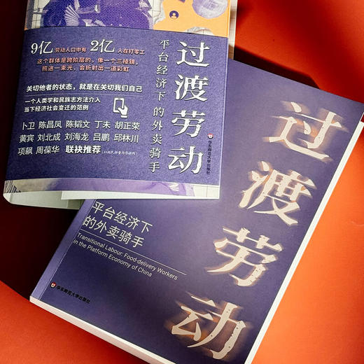 【包邮】过渡劳动：平台经济下的外卖骑手（薄荷实验） 孙萍著 商品图2