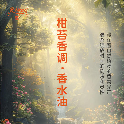 柑苔香调香水油 植物精油香氛 适用护体香 护手油 润发丝 大篷车精油 商品图1
