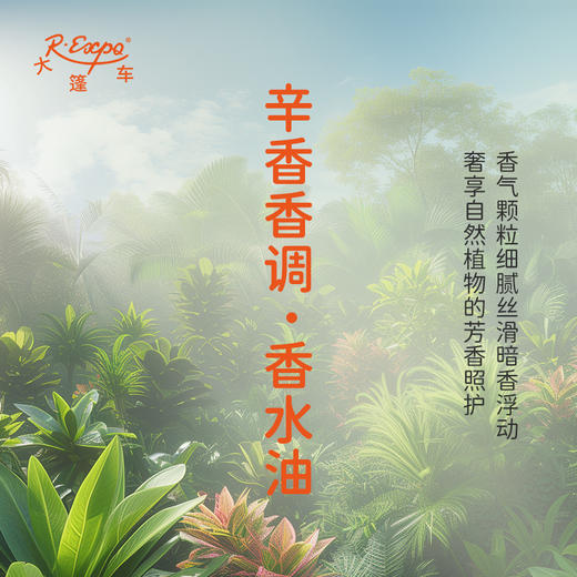 辛香香调香水油 植物精油香氛 适用护体香 护手油 润发丝 大篷车精油 商品图2