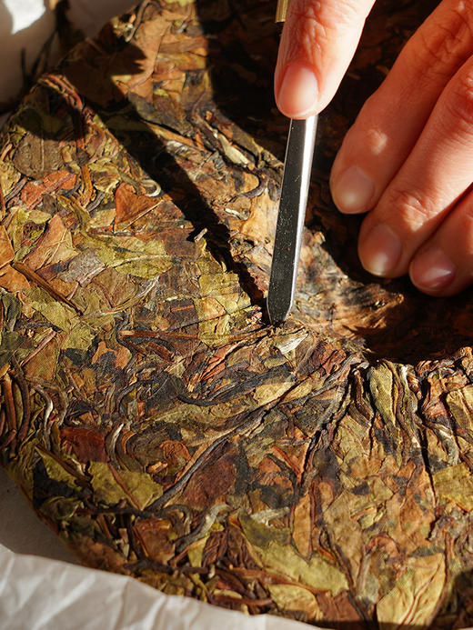 【冰岛古树白茶】2020年云南临沧冰岛白茶 4年陈花果香，357克/饼 5饼/提 拍5发6拍20发25 商品图8