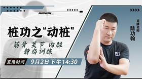 【9月2日】桩功之“动桩” ——功夫课堂