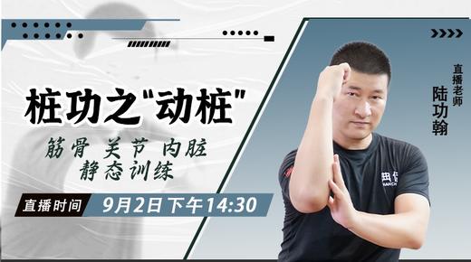 【9月2日】桩功之“动桩” ——功夫课堂 商品图0