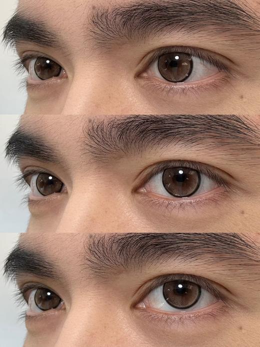 Yukicon日抛-圆崽崽棕（10p/盒） 商品图1