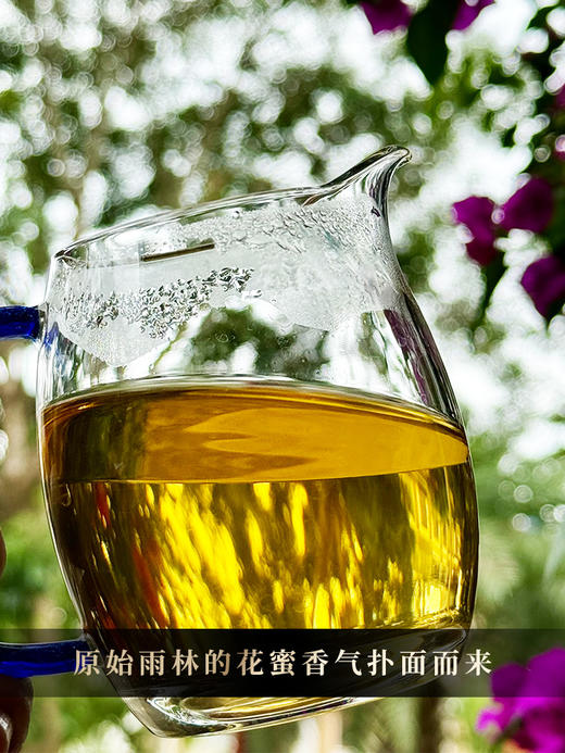 【冰岛古树白茶】2020年云南临沧冰岛白茶 4年陈花果香，357克/饼 5饼/提 拍5发6拍20发25 商品图2