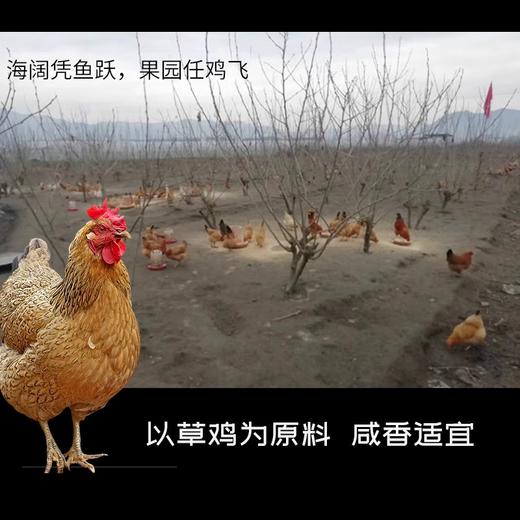 丁义兴咸草鸡500克白切鸡盐焗鸡真空熟食即食网红食品 年货礼盒 商品图2