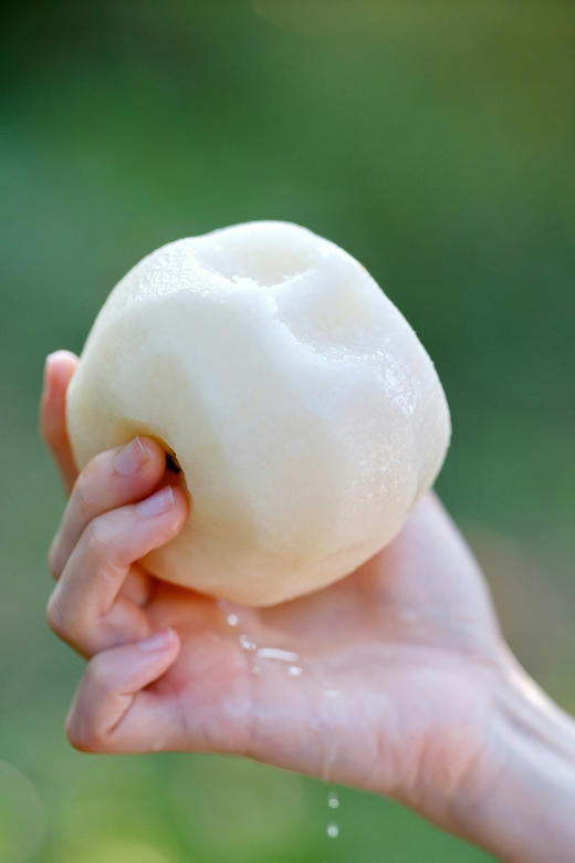 高颜值礼盒！【秋月梨王】吃一口，馋一年！自然生长 洁白清脆 细腻无渣 高甜水润 细腻宛如初秋水 肉白可比中秋月 咬着吃的“梨汁”~ 商品图1