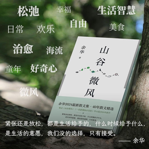 山谷微风 余华散文集 收录一直游到海水变蓝等12篇新作 商品图3