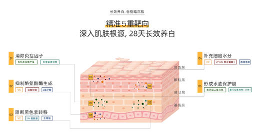 （含税）AALWEE焕颜霜50g/瓶 商品图4