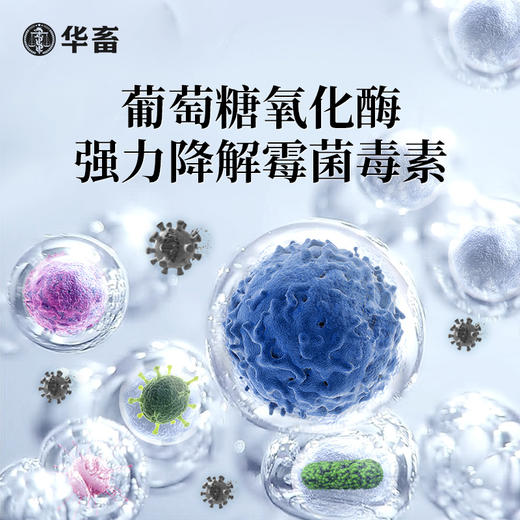华畜脱霉剂正品兽用鸡禽牛羊用饲料添加剂母猪孕畜生物玉米脱霉净 商品图6