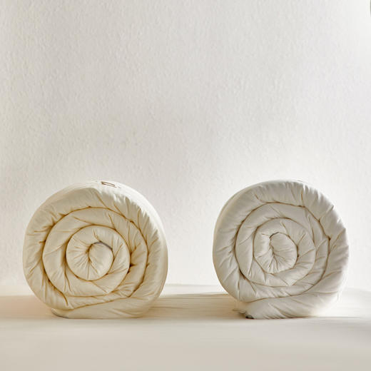 【热卖推荐】自然醒伊士曼Naia纤维功能春秋被芯高端提花柔软四季通用二合一子母被子TD 商品图14