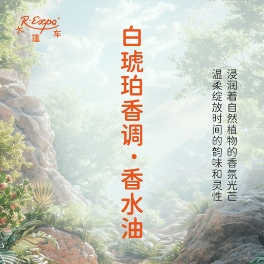 白琥珀香调香水油 植物精油香氛 适用护体香 护手油 润发丝 大篷车精油 商品图1