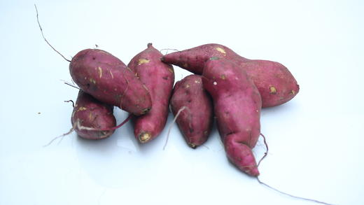 锄禾小番薯500g 商品图5