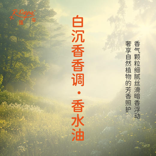 白沉香香调香水油 植物精油香氛 适用护体香 护手油 润发丝 大篷车精油 商品图2
