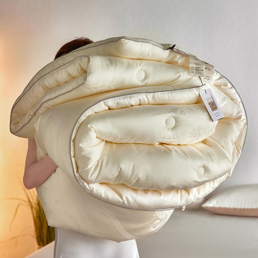 自然醒金钻羊绒蛋白纤维被高档轻柔透气春秋被轻奢提花被加厚被胎保暖秋冬被芯TD 商品图11