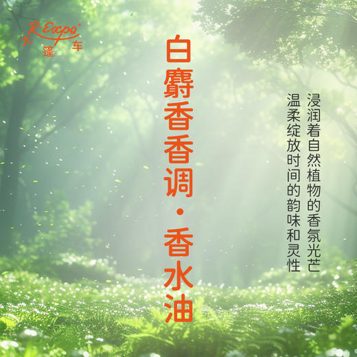 白麝香香调香水油 植物精油香氛 适用护体香 护手油 润发丝 大篷车精油 商品图1