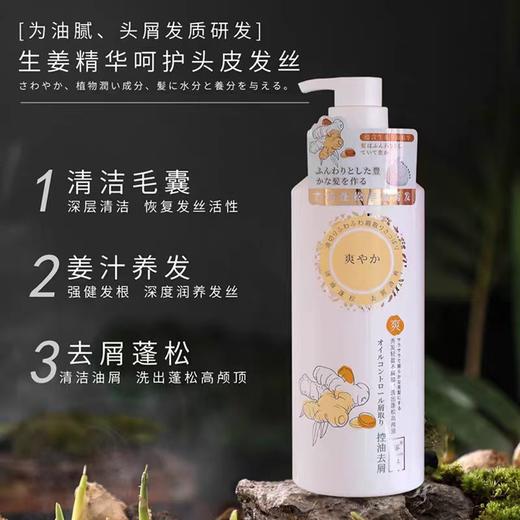 蜜梨生姜沁爽洗发水750ml 商品图1