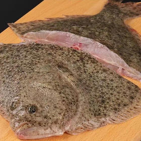 #顺丰冷链【渔趣多】鲜活海鲜 鲜冻海捕多宝鱼 新鲜大号冷冻比目鱼鲽鱼