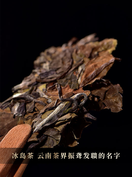 【冰岛古树白茶】2020年云南临沧冰岛白茶 4年陈花果香，357克/饼 5饼/提 拍5发6拍20发25 商品图4