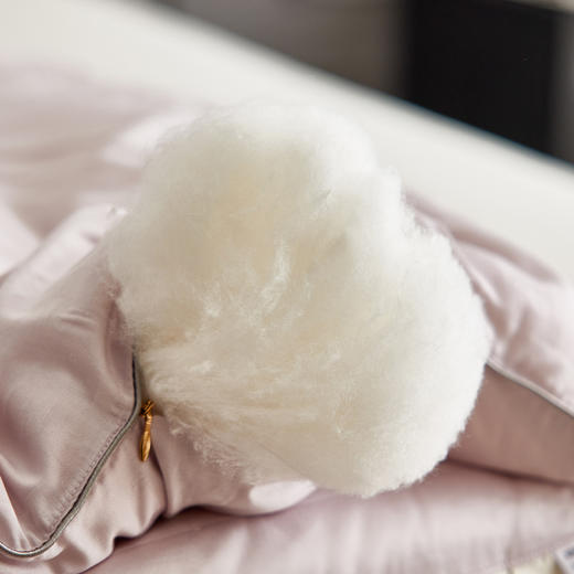 【双旦秒杀】自然醒天丝棉提花恒温调温功能纤维被芯双人春秋被单人加厚保暖冬被TD（不参与优惠券） 商品图14