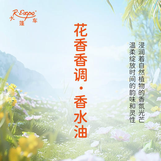 花香香调香水油 植物精油香氛 适用护体香 护手油 润发丝 大篷车精油 商品图1