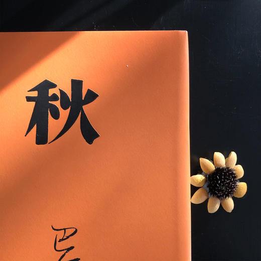 激流三部曲 家春秋 巴金  精装共3册全文无删减 商品图8