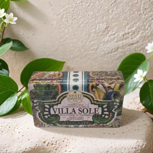 内斯蒂.丹特陶尔米纳仙人果怡神 250g/块 商品图0