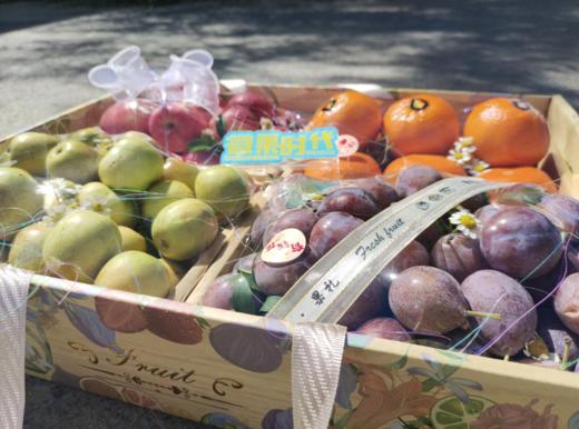 四拼水果礼盒 商品图3