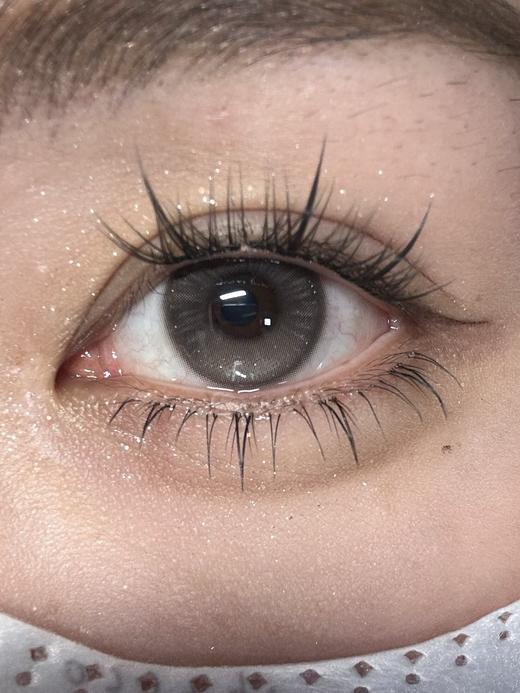 LuluAlice半年抛--陷入纯情(黑棕) 商品图7