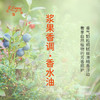 浆果香调香水油 植物精油香氛 适用护体香 护手油 润发丝 大篷车精油 商品缩略图2