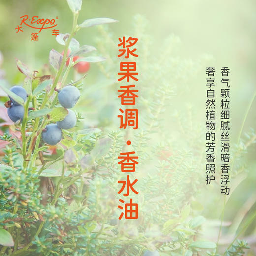 浆果香调香水油 植物精油香氛 适用护体香 护手油 润发丝 大篷车精油 商品图2