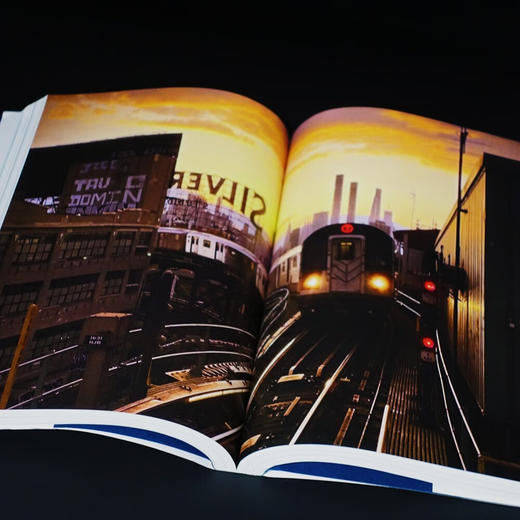 【特价】创造大都会 ：纽约空间与制度观察 罗雨翔 著 商品图6