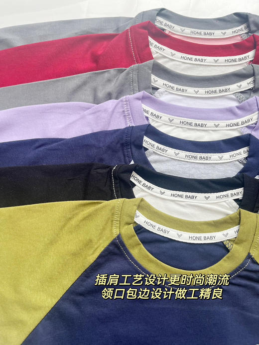 贝叮熊索罗娜插件T（h锁 商品图2