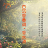 白沉香香调香水油 植物精油香氛 适用护体香 护手油 润发丝 大篷车精油 商品缩略图1