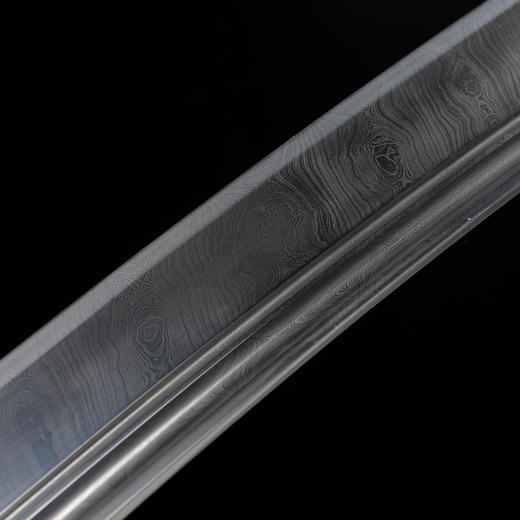 铁装锉银牛尾刀 沈州作品 龙泉沈广隆剑铺宝剑 武术太极刀传统刀 sgl-5039  未开刃 商品图5