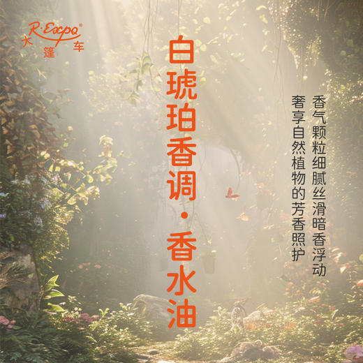 白琥珀香调香水油 植物精油香氛 适用护体香 护手油 润发丝 大篷车精油 商品图2