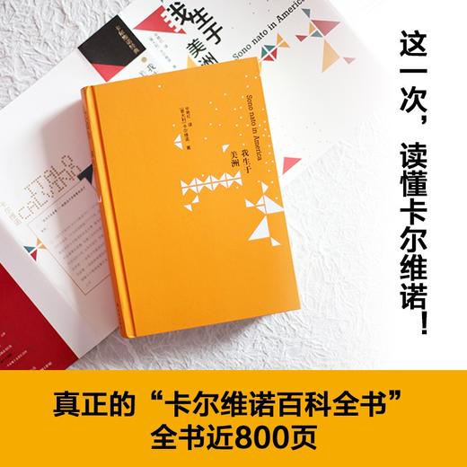 我生于美洲（101次访谈全收录，真正的“卡尔维诺百科全书”，简体中文版初面世！） 商品图4