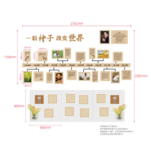 “一粒种子，改变世界”袁隆平主题墙面装饰 商品图4