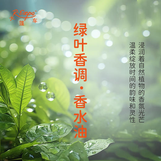绿叶香调香水油 植物精油香氛 适用护体香 护手油 润发丝 大篷车精油 商品图1