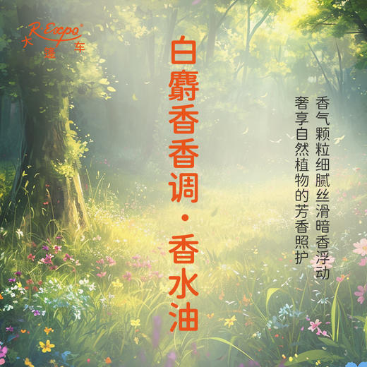 白麝香香调香水油 植物精油香氛 适用护体香 护手油 润发丝 大篷车精油 商品图2