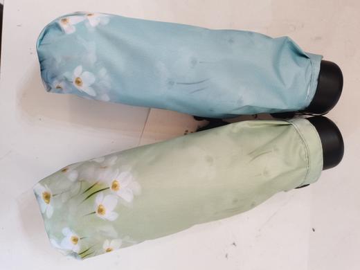 白井五折太阳伞 商品图5